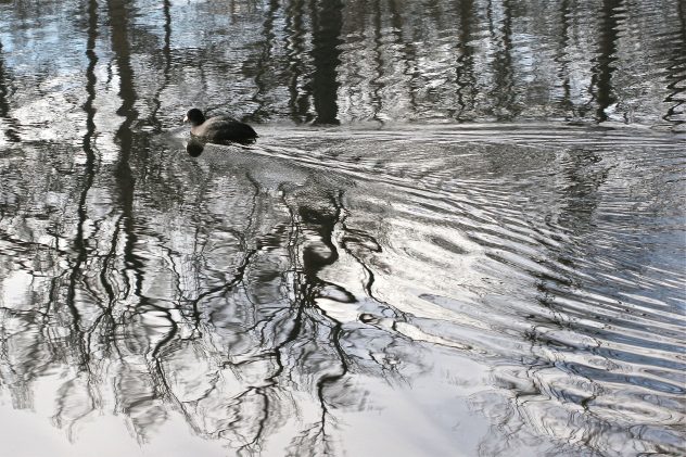 (c) Egon Woblick