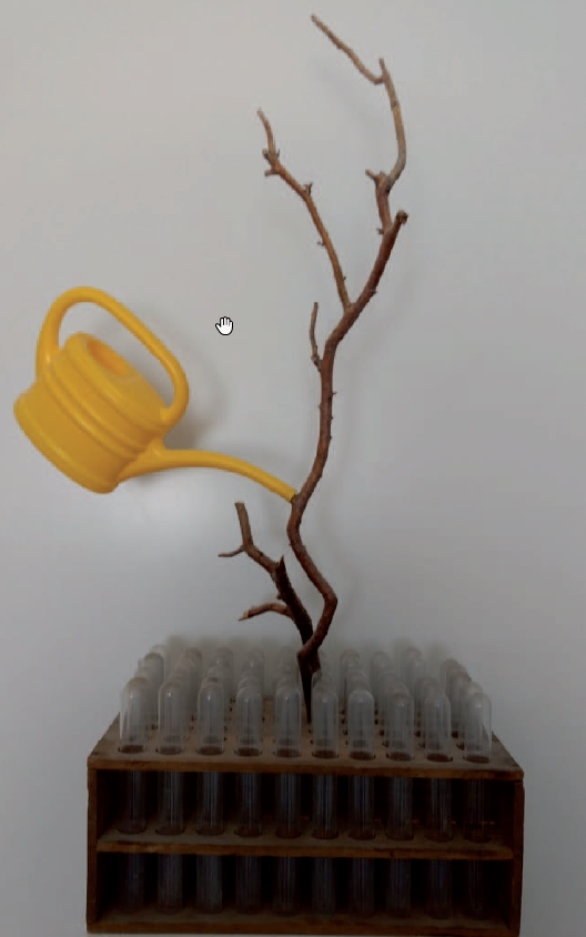 Gisela Dobler - Objekte/Installationen