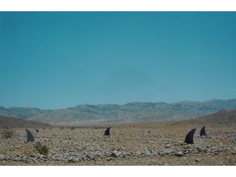 Mirko Siakkou-Flodin: Haifischflossen in der Wüste. Death Valley 1994