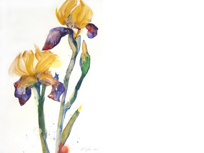Aquarell: Hans Peter Götze