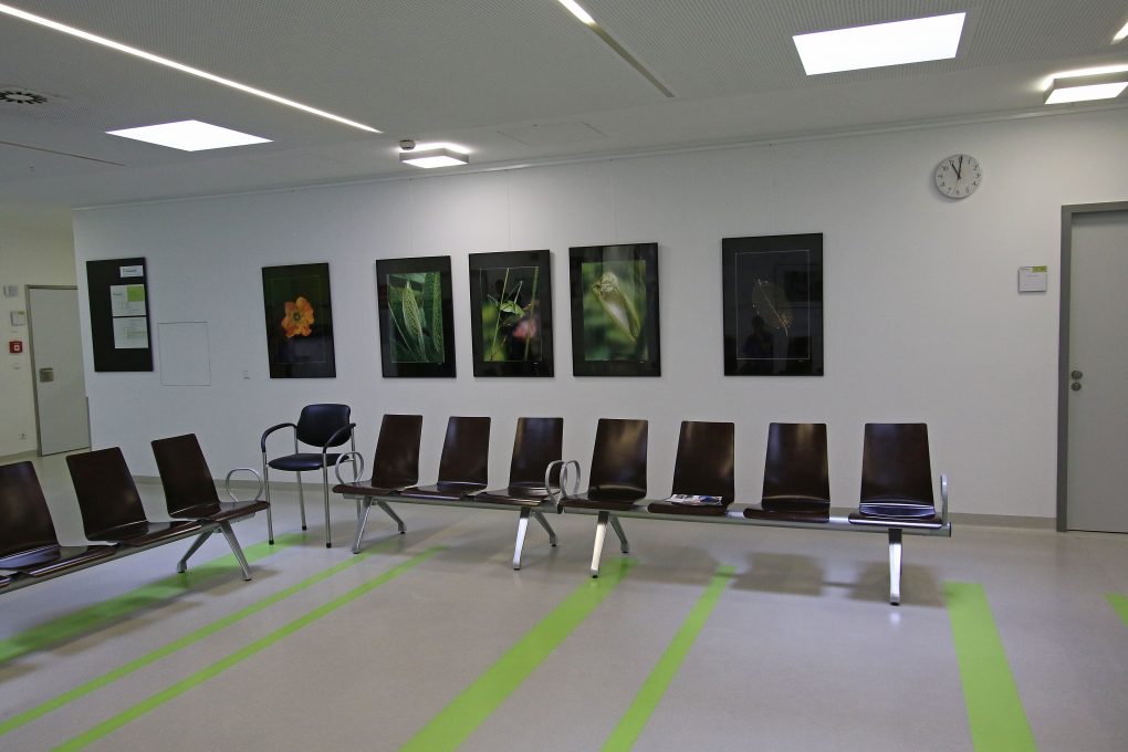 Egon Woblick: Ausstellung 14 Nothelfer Weingarten