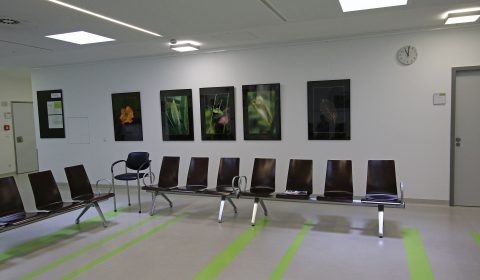 Egon Woblick: Ausstellung 14 Nothelfer Weingarten