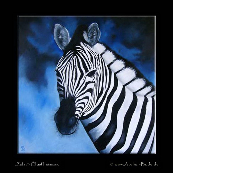 Zebra A - Claudia Bode