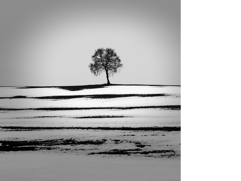 Ernst Pini - Winter