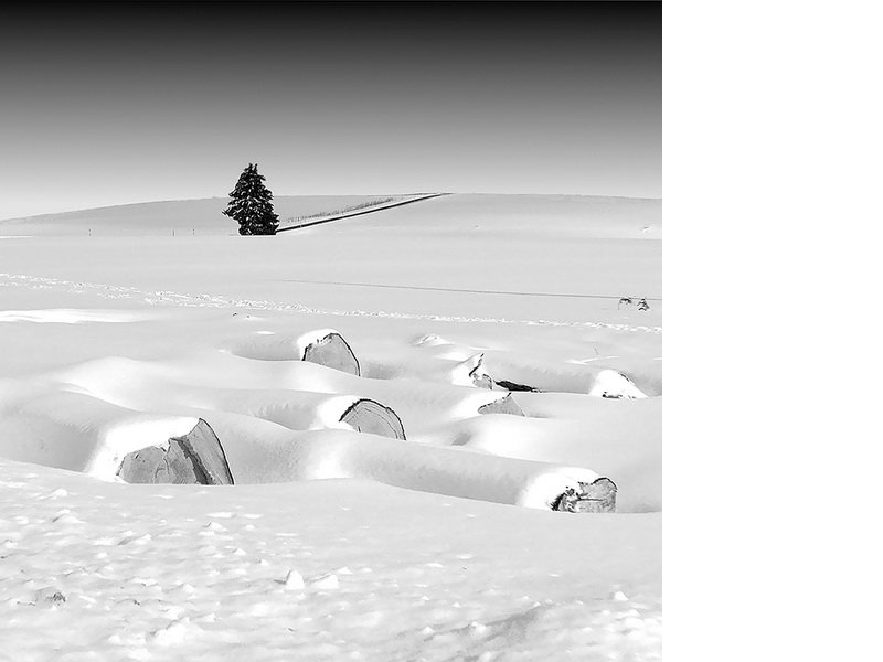 Ernst Pini - Schnee