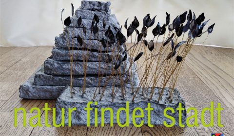 natur findet stadt