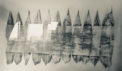 Miriam Saric