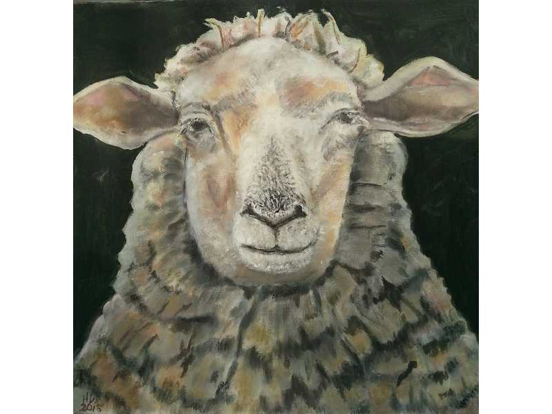 Hanne Lebram-Daumerlang: Schaf