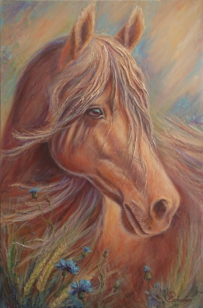 Galyna Schaefer: Summer field a 2020