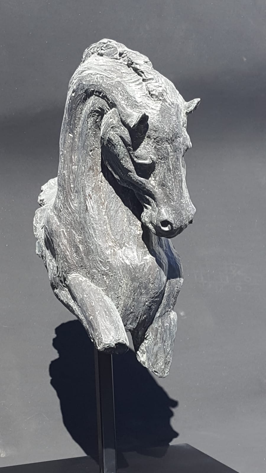 Michael Sili: a5