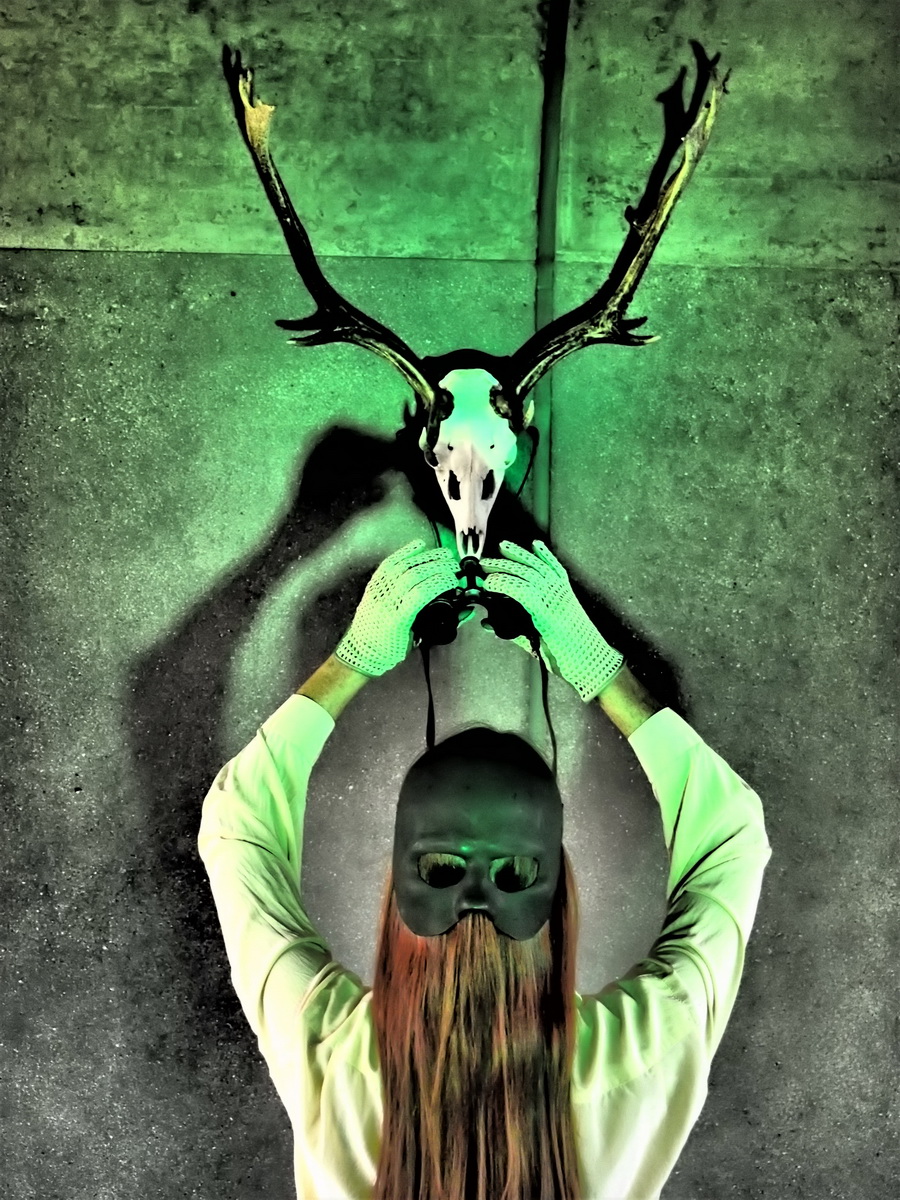 Alexandra Gebhart - Auf der Jagd