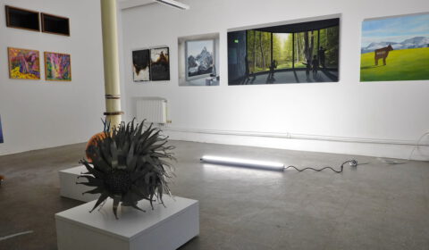 Ravensburg Weingartener Kunstverein: Galerie auf Zeit 3