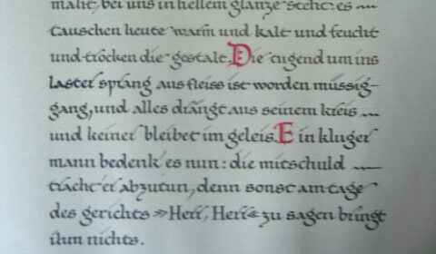 Walter Steenblock: Carmina Burana
