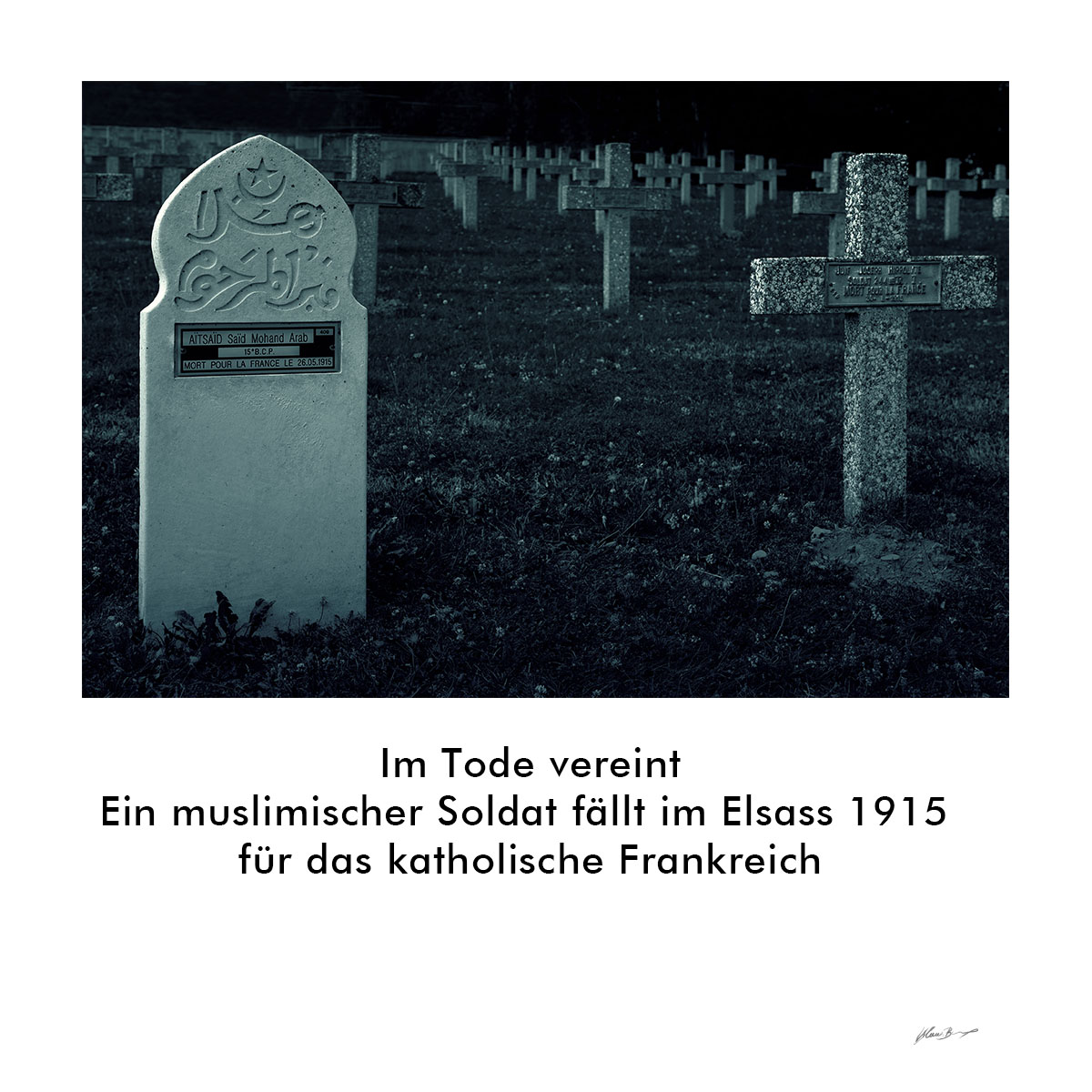 Klaus Bauer: Waldspaziergang