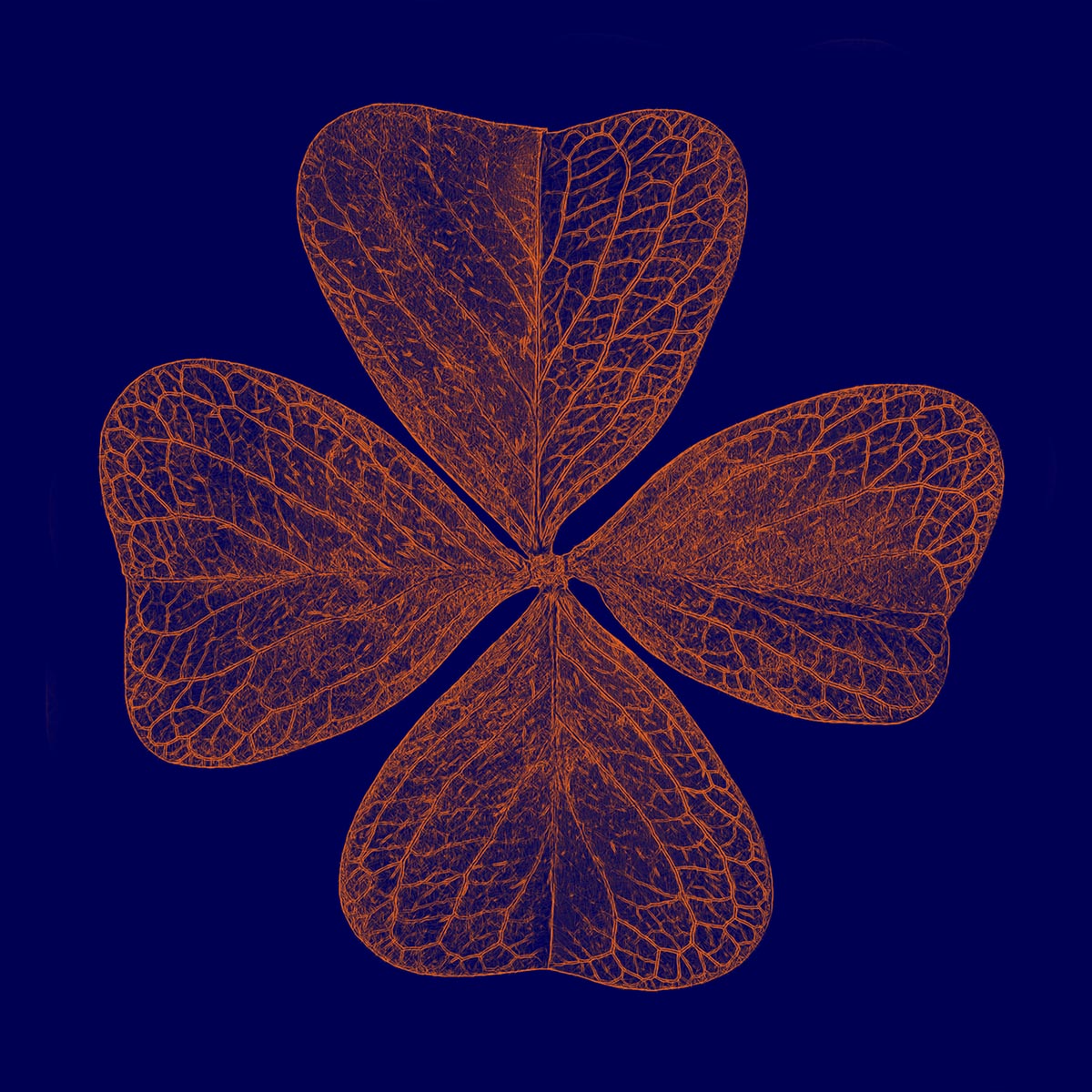 Klaus Bauer: Kleeblatt-Orangered-blue