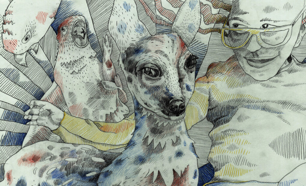 Bild: Heike Doll