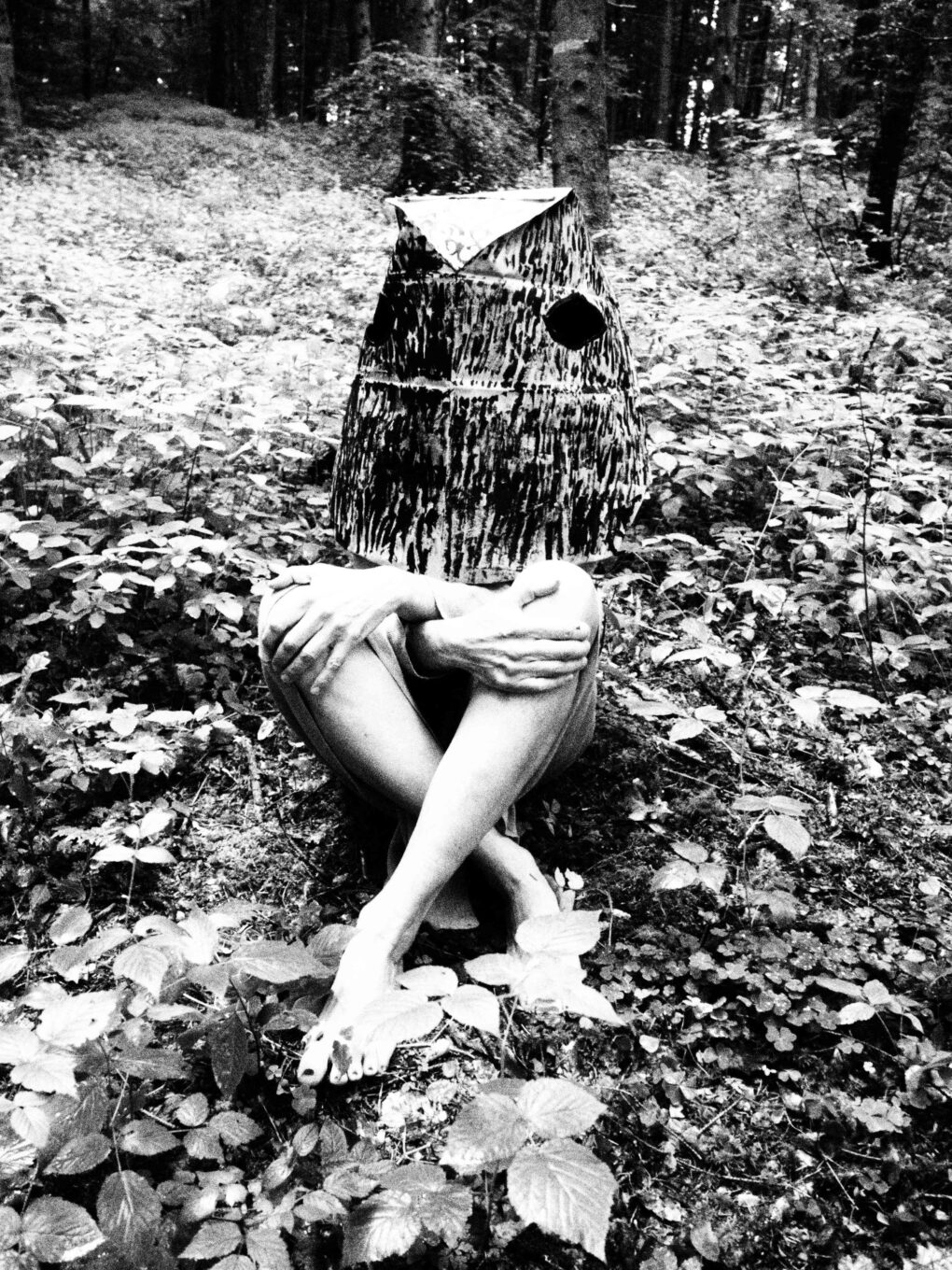 Alexandra Gebhart: The Animal