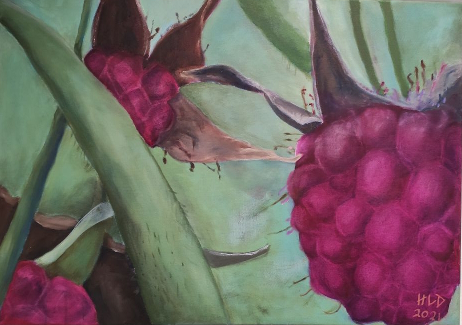 Hanne Lebram-Daumerlang: Himbeeren