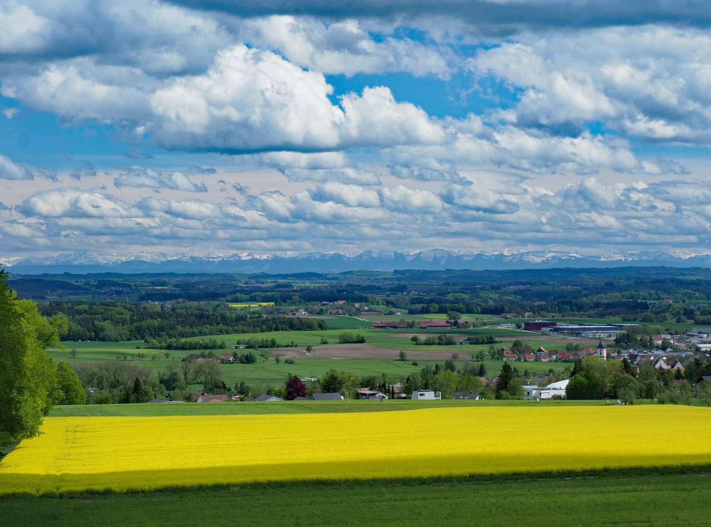 Manuela Bacalja: Oberschwäbische Landschaft