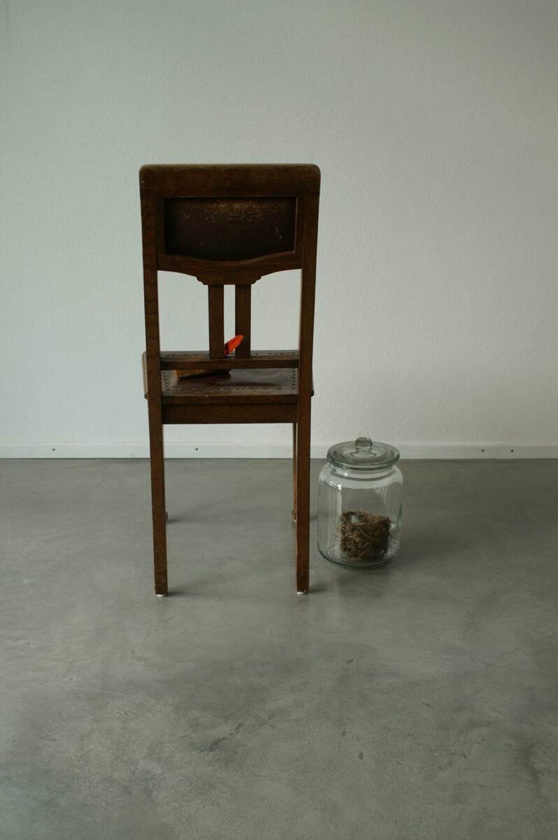 Ute Drescher: Nesthocker