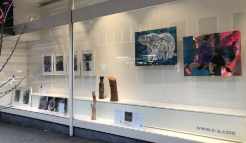 Kunst-Schaufenster 2 bei C&A