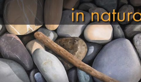 Ulriike Hüppeler: in Natura