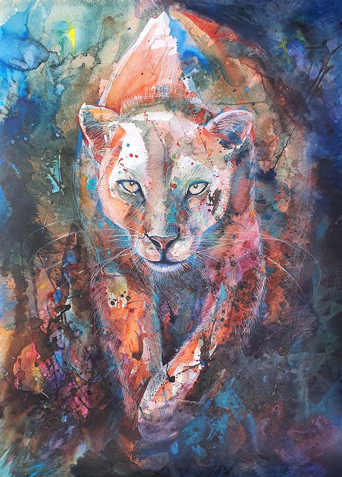 Petra Steinhauser - Baltoro