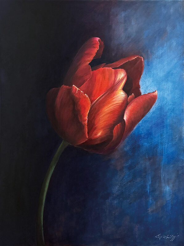Jeannette Dubielzig: Tulpe I Jeannette Dubielzig: Tulpe I